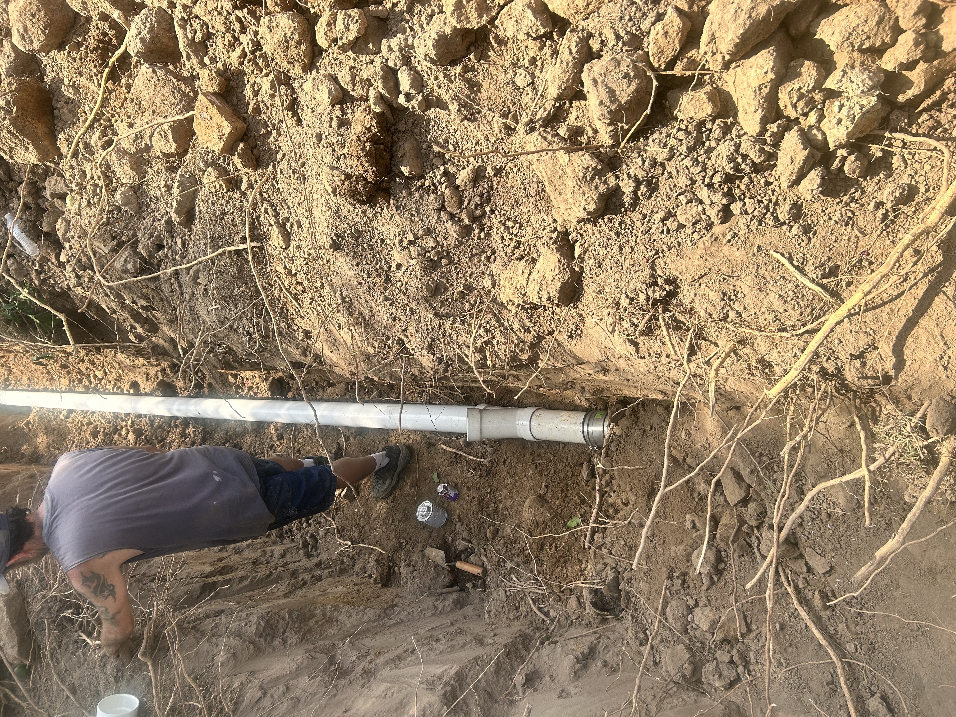 Sewer Line Replacement Because of Roots in Lafayette, LA